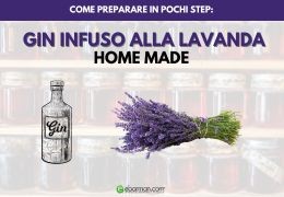 Come preparare un gin infuso alla Lavanda home made in pochi step